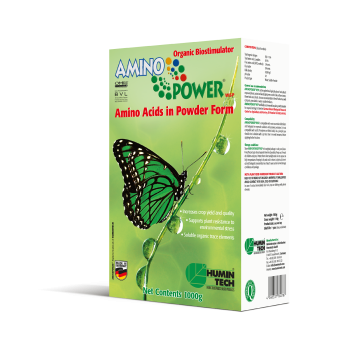 AMINO POWER WSP