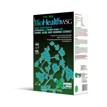 BioHealth TH BS WSG