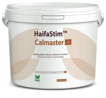 HaifaStim Calmaster