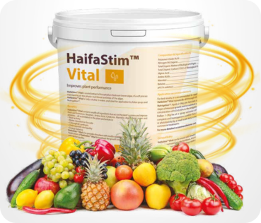 HaifaStim® Vital Amino und Alginsäuren + Betain