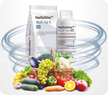 HaifaStim® Wall-Up S