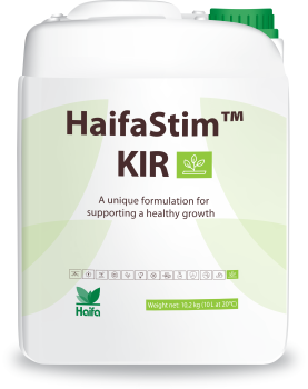 HaifaStim KIR