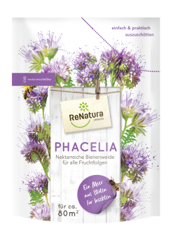 Phacelia