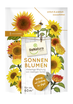 Sonnenblume