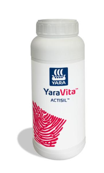 Actisil 0,6 % Si 1 Liter