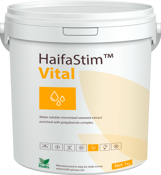 HaifaStim® Vital Amino und Alginsäuren + Betain