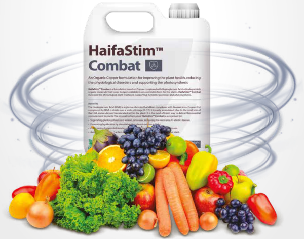 HaifaStim Combat