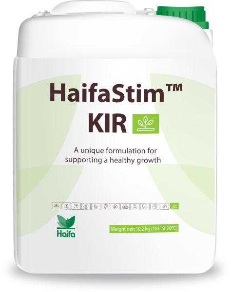 HaifaStim KIR